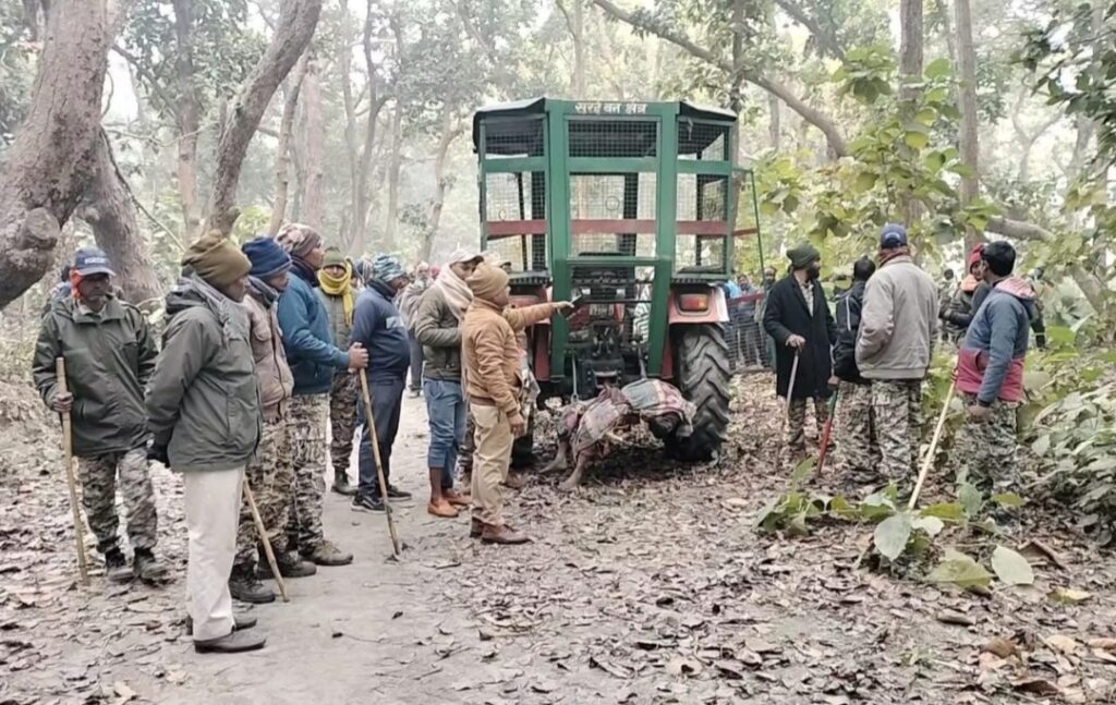 महिला पर बाघ ने हमला कर मौत के घाट उतार दिया